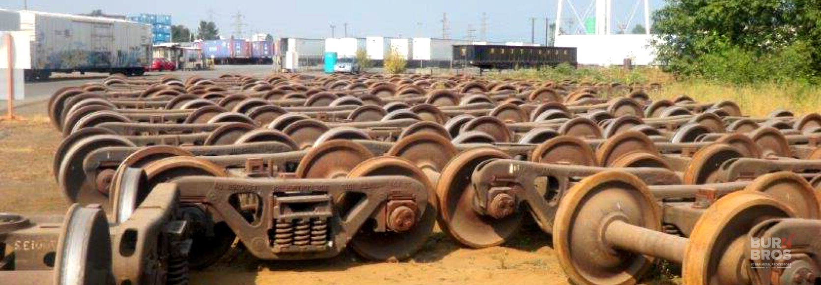 Scrap Train Wheels and Skeleton Plate